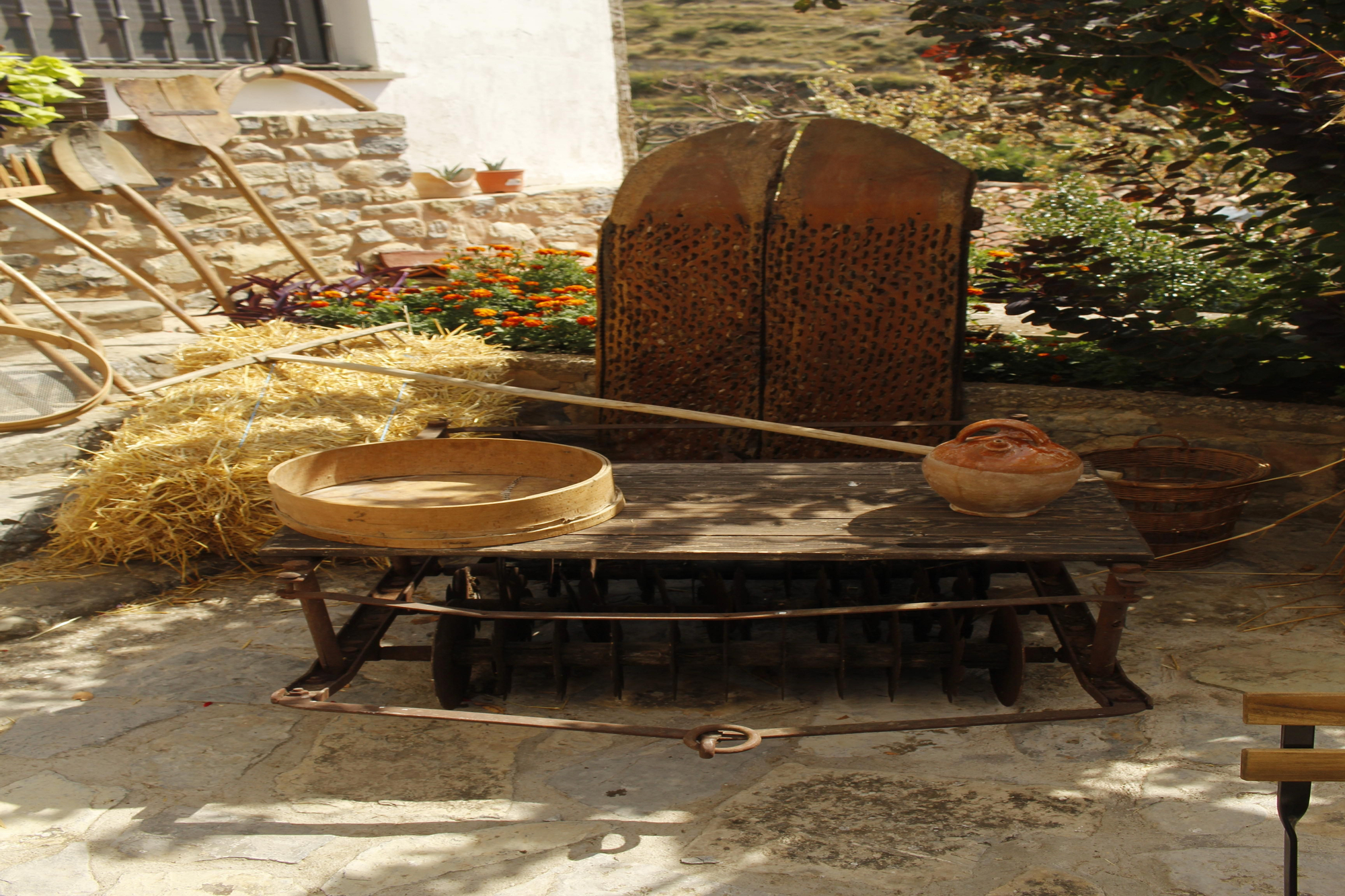 Día del Camero Viejo en Terroba