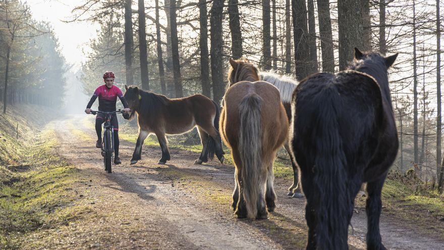 Un paseo en bici por los rincones recónditos del parque natural de Gorbeia