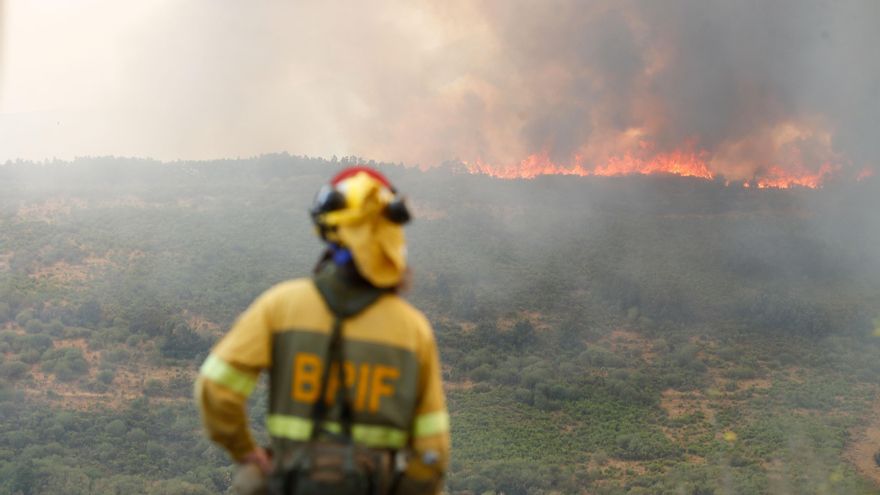 Asturias mantiene cinco incendios activos avivados por rachas de viento de hasta 161 km/h