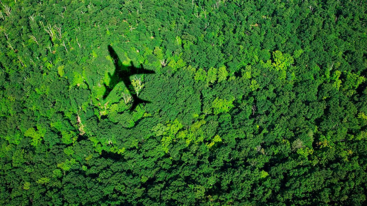 La sombra de un avión sobrevolando la selva