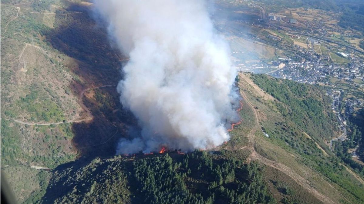 Un centenar de incendios forestales convierten julio en el mes más negro para León de los últimos años