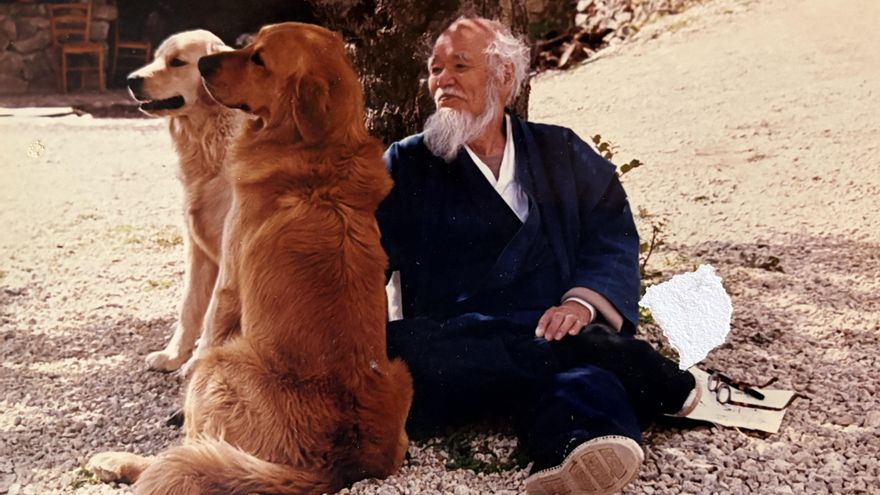 Fukuoka descansa, acompañado de dos perros, bajo un algarrobo en Mancor de la Vall (Mallorca)