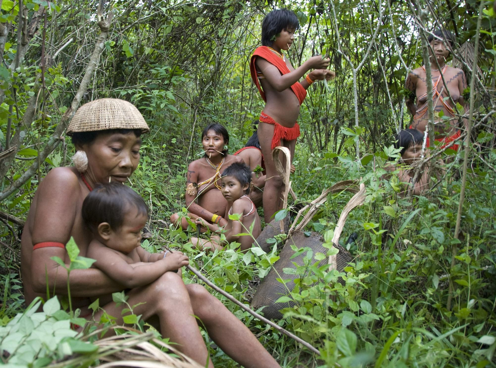 Grupo de mujeres y niños yanomamis en la Amazonia brasileña. En Brasil viven más pueblos indígenas aislados que en cualquier otro lugar del planeta. Dependen por completo de su selva para sobrevivir, pero la mayor parte está siendo arrasada por la tala, la agroganadería, las megapresas, las carreteras o las exploraciones de hidrocarburos. COPYRIGHT © Survival / www.survival.es