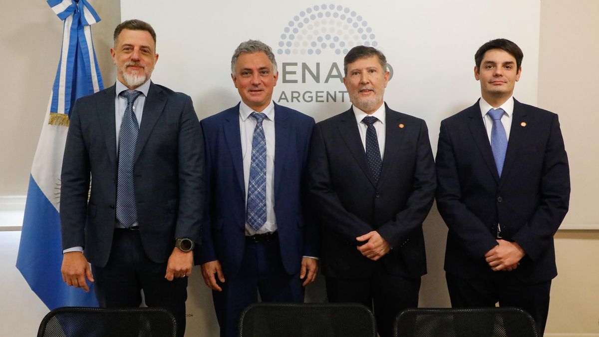 Sebastián Pareja, titular de la Bicameral de Inteligencia, junto a Cristian Auguadra, Diego Kravetz y José Lago Rodríguez.