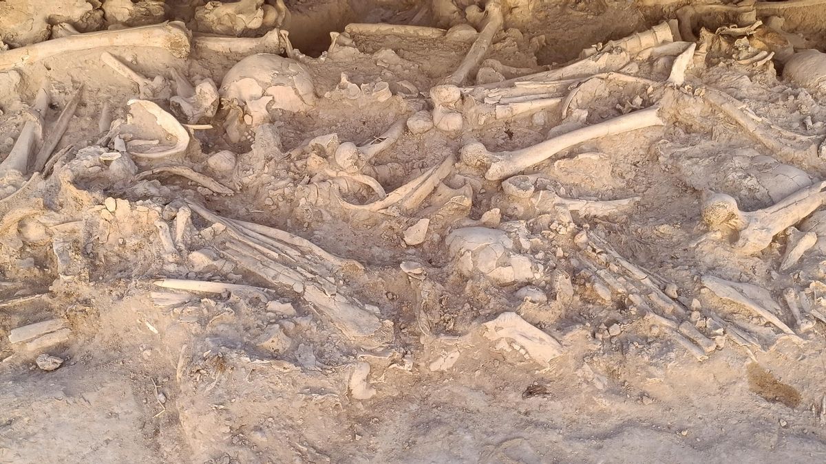 Detalle del deposito con restos humanos