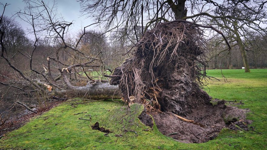 ¿Es tu abuela un fenómeno natural? Reino Unido busca nombres para las próximas tormentas