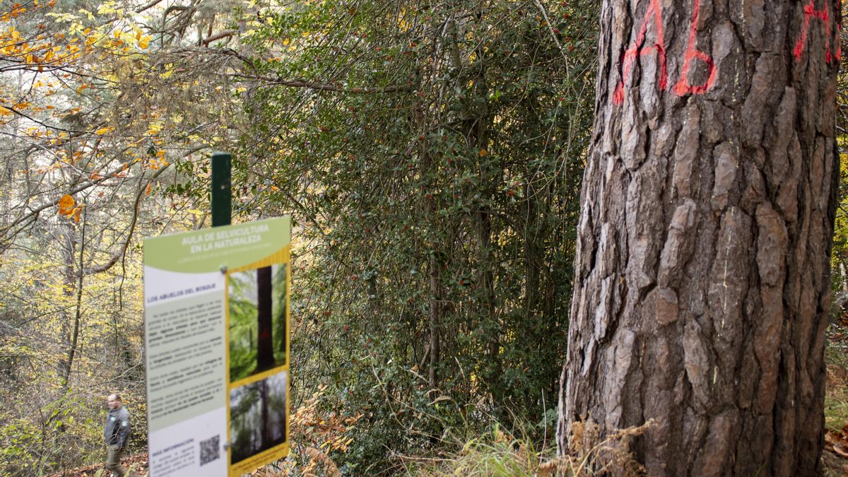 Pasea La Rioja retoma sus rutas con la celebración del Día Internacional de los Bosques