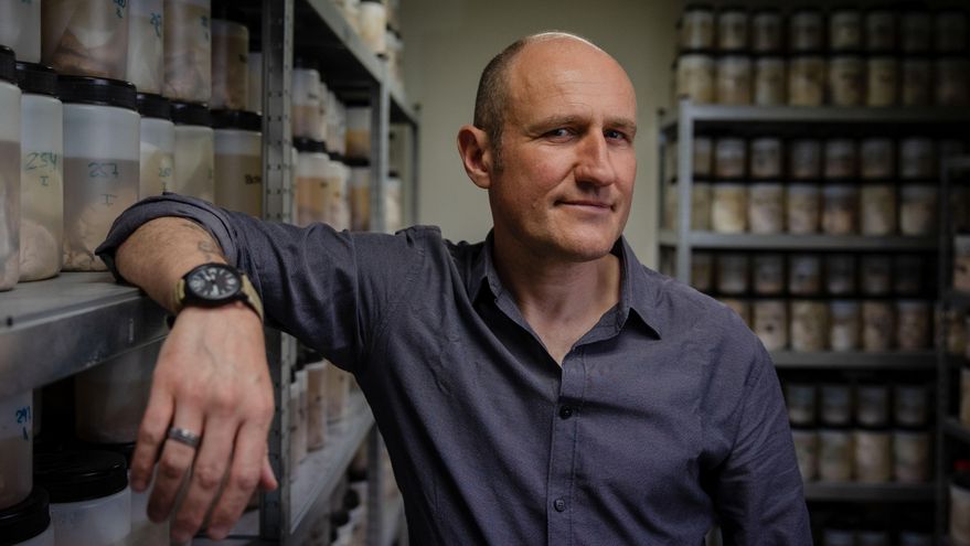 'Homo sapiens', el mono inteligente y triste