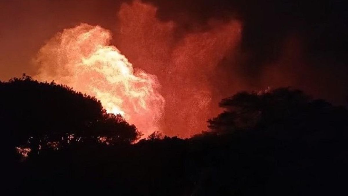 Incendio declarado en el paraje sierra de San Bartolomé, en el municipio gaditano de Tarifa.