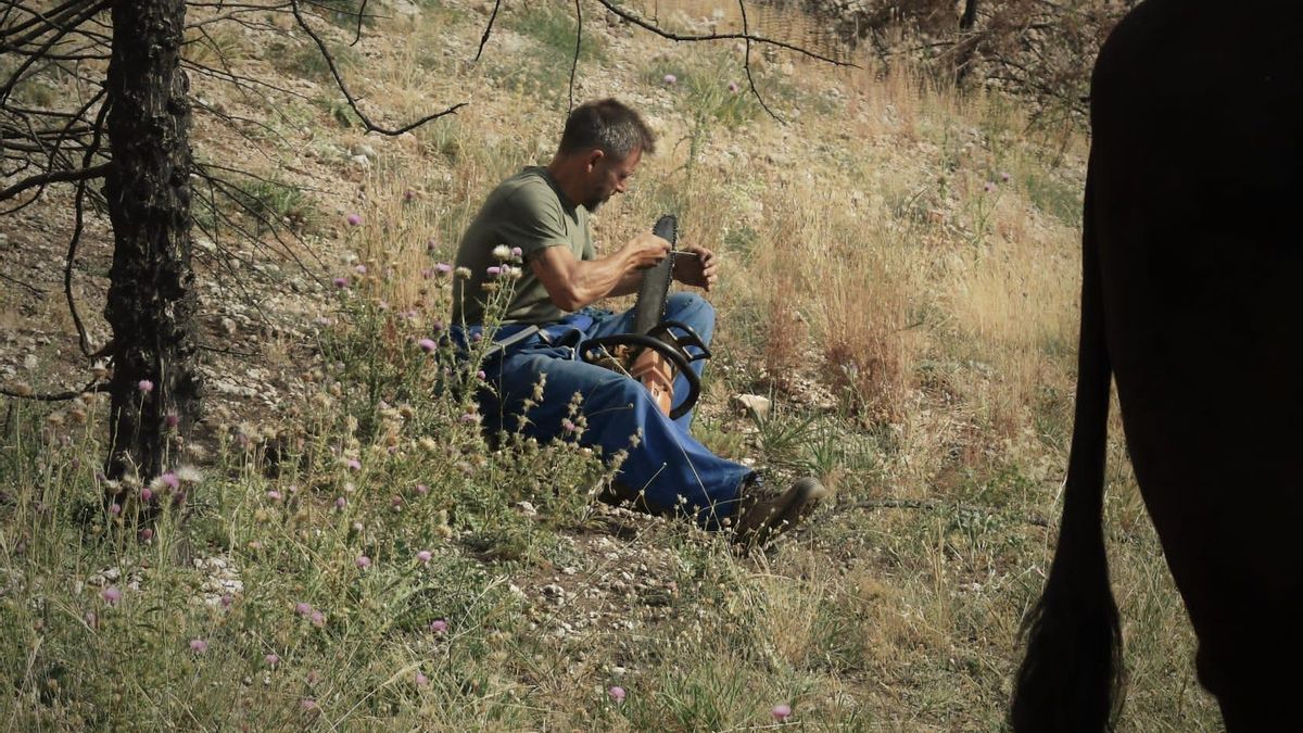 Un miembro de la Real Cabaña de Carreteros afilia un tronzador para tirar árboles quemados.