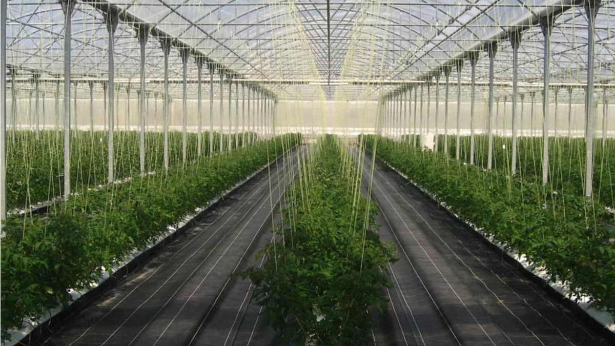 Cistierna acogerá un foro sobre energías renovables y desarrollo rural con el foco en la planta de biogás de Vidanes