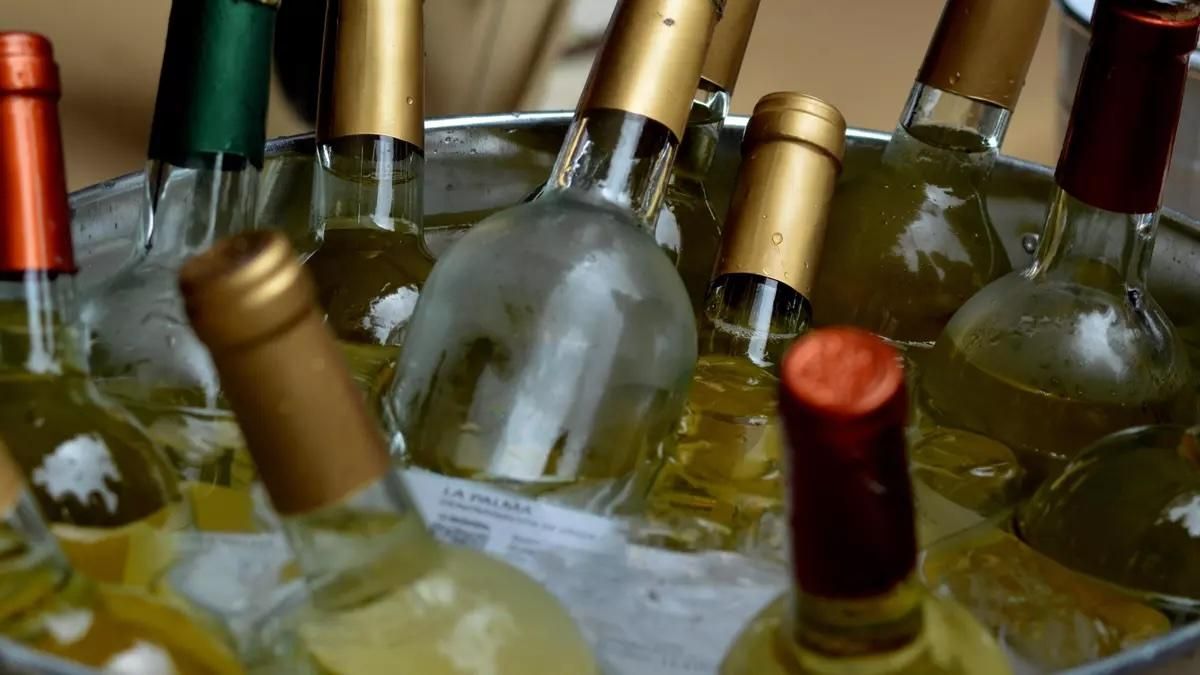 Vinos de la Denominación de Origen.