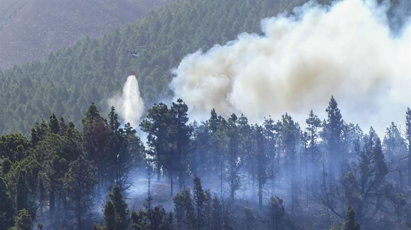 Incendio forestal en la isla de La Palma. (EFE)