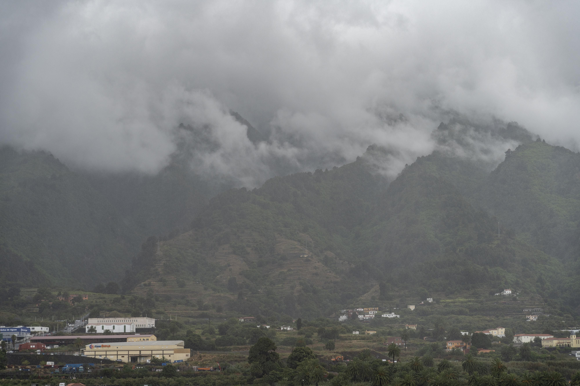 La Palma, bajo la niebla