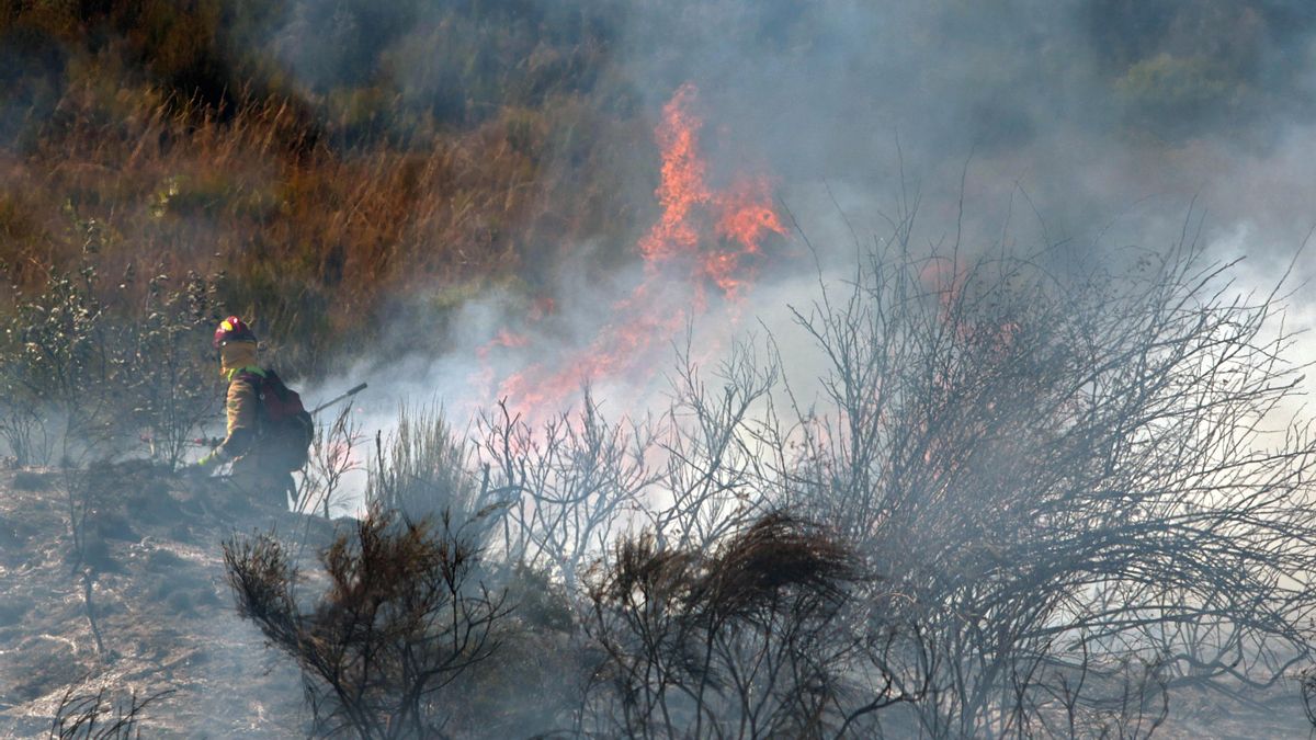 Incendio de Villasinta de Torío, en el municipio de Villaquilambre.