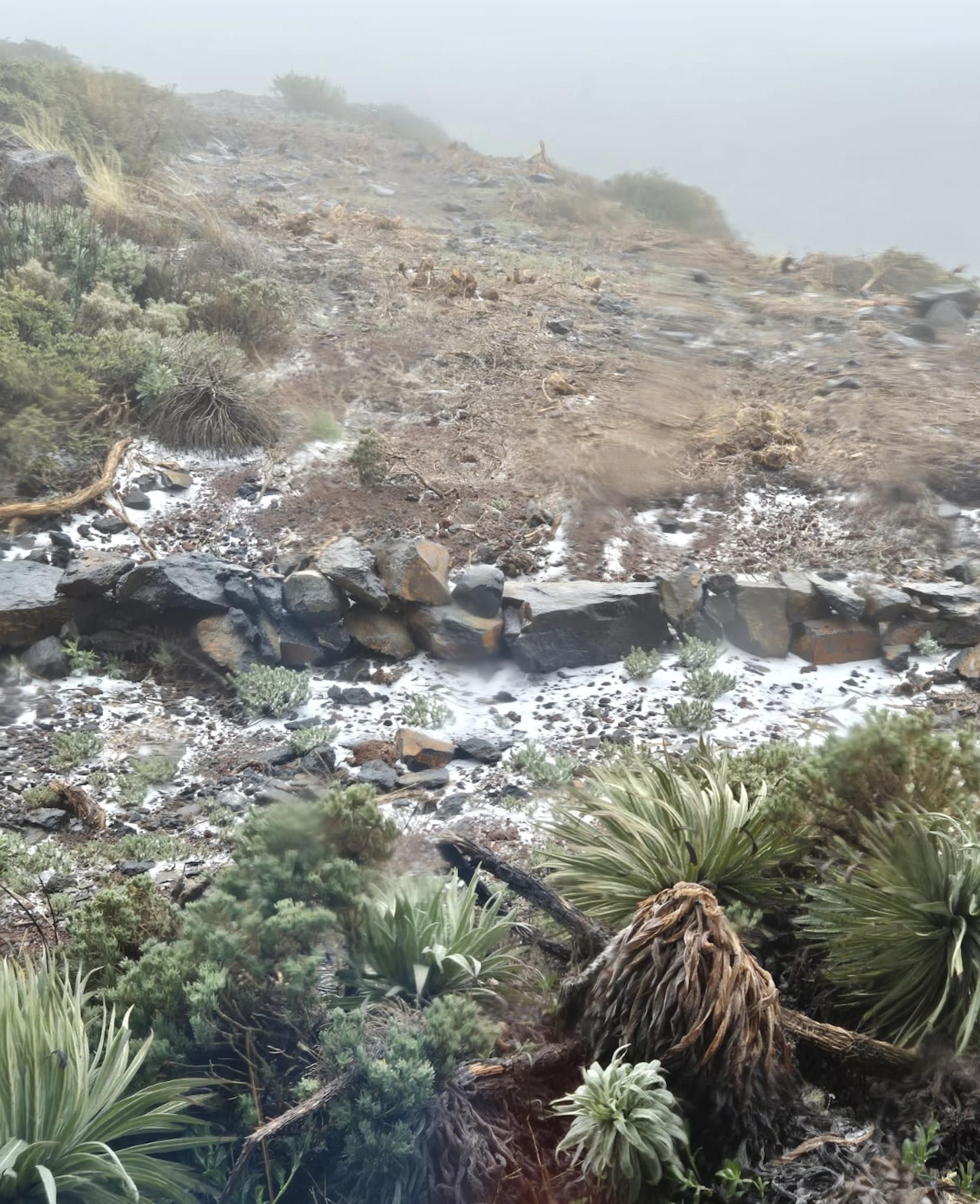 Imagen de la granizada registrada en la mañana de este miércoles en el entorno del Roque de Los Muchachos.