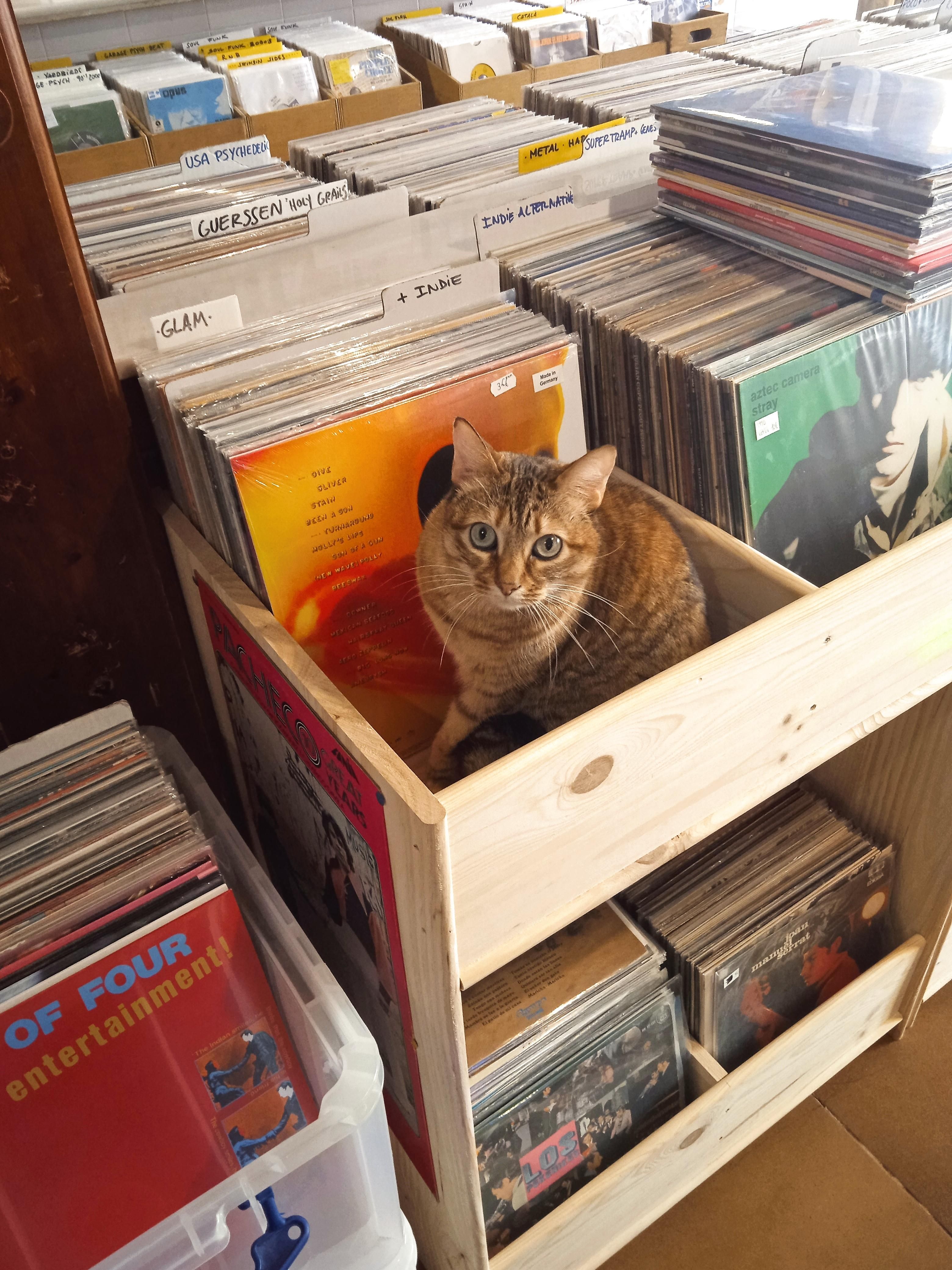 Angelita Records le vendió a Tito, un cantante de rumba, los discos de su propia discografía que le faltaban.