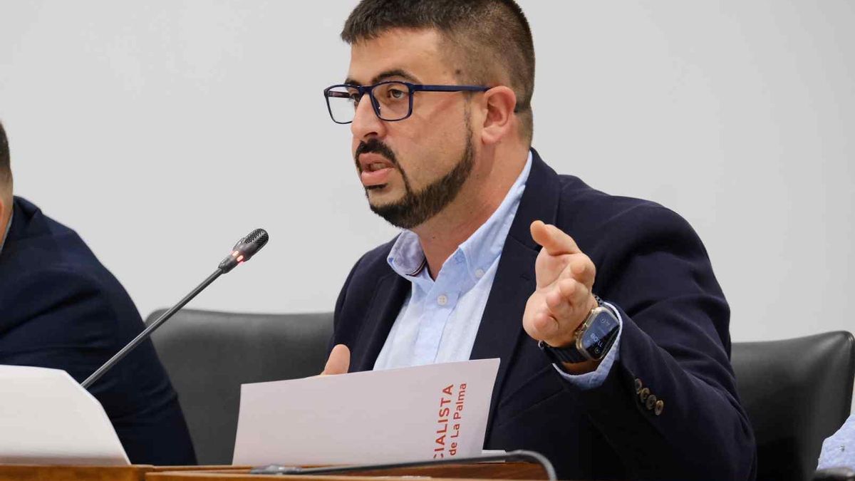 Borja Perdomo, portavoz del Grupo Socialista en el Cabildo de La Palma.