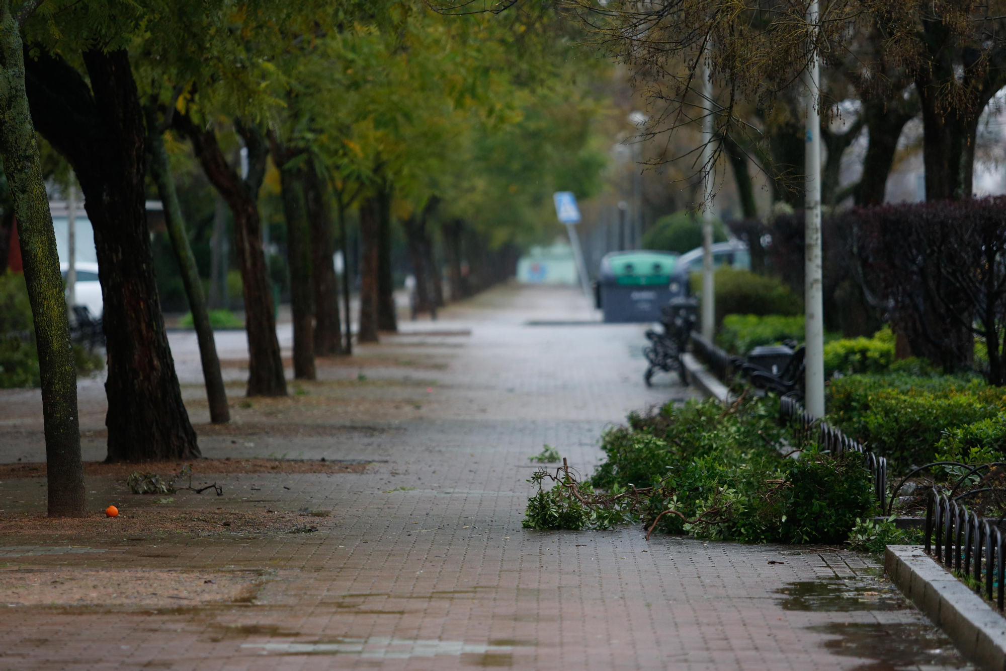 La borrasca Leonardo a su paso por Córdoba