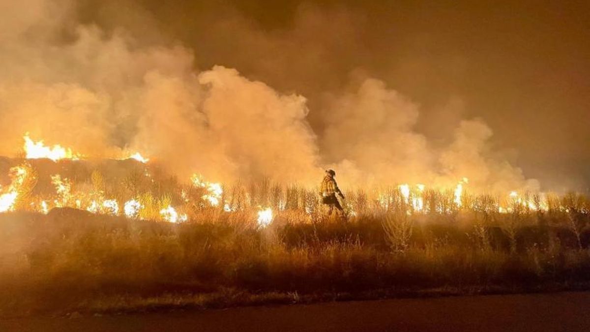 Incendio forestal de La Mierla, en Guadalajara