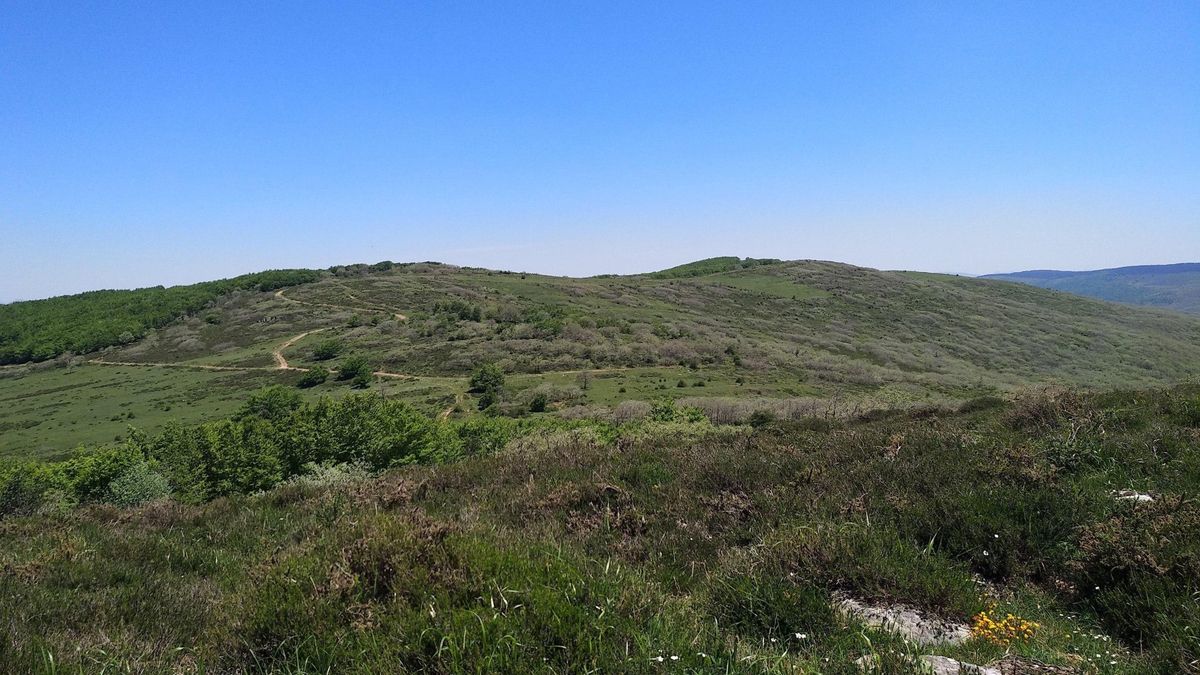 Marcha contra el polígono eólico Somaloma-Las Quemadas: nueve molinos con la altura de un edificio de 50 pisos