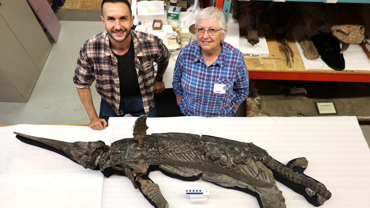 Así era el extraño reptil marino que dominó los mares hace 190 millones de años