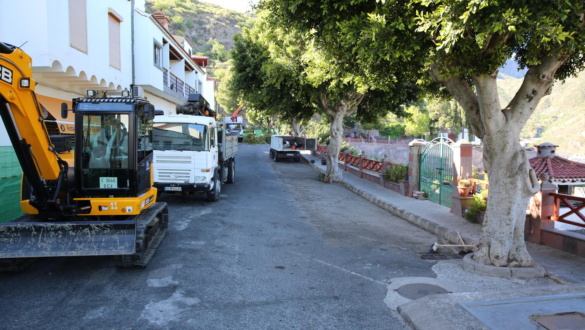 Zona acordonada desde el 28 de mayo para retirar los árboles. (Alejandro Ramos).