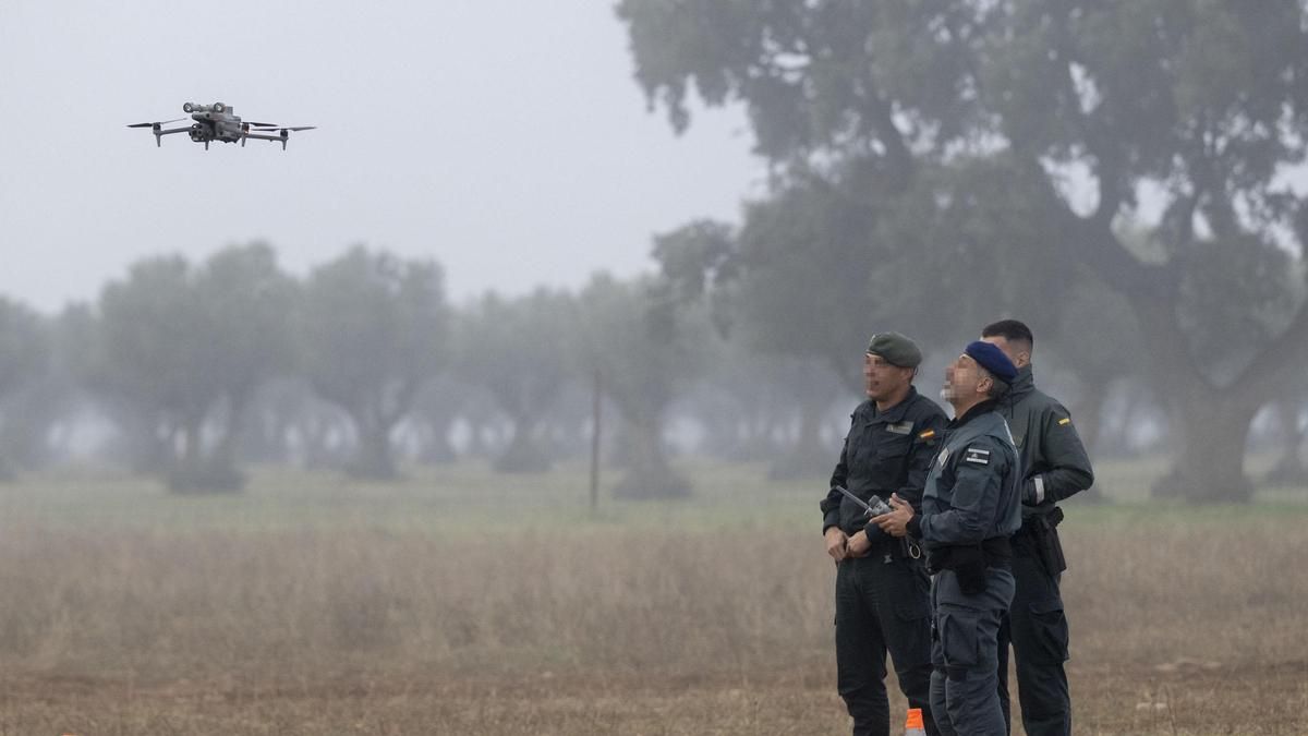La Guardia Civil ha reanudado este sábado los trabajos en la zona cero del accidente ferroviario de Urda.
