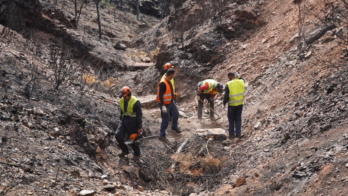 Construcción de albarradas de contención del arrastre de cenizas en torno a los embalses de la cuenca del Tajo, algunos de los más afectados están en Guadalajara, tras el incendio de La Mierla