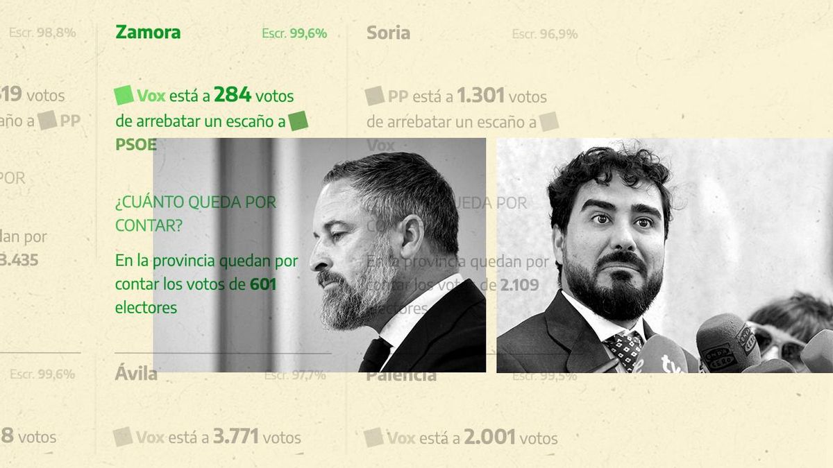 El efecto de la división en Castilla y León entre Vox y el partido de Alvise: 4.000 votos que podrían haber cambiado el resultado