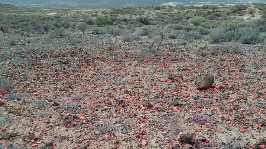 Ecologistas alertan de posibles daños en el patrimonio arqueológico causados por un campeonato estatal de caza en Tenerife