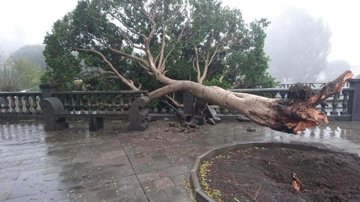 FOTOGALERÍA | Temporal en Canarias