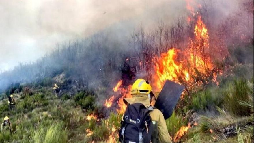 Las Brif estatales con base en Tabuyo aplacando un incendio en La Cabrera en marzo de este año. / Foto @briftabuyo