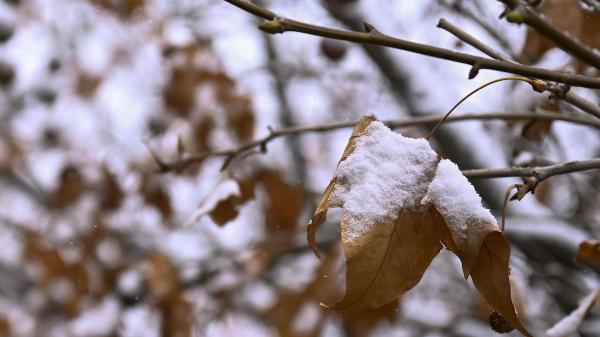 Frío polar en el interior con nieve y lluvias fuertes en el Mediterráneo protagonizan el segundo día de Navidad