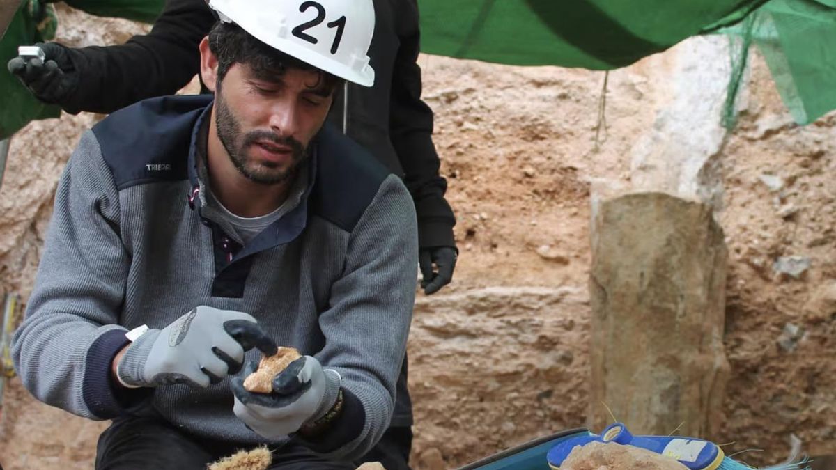 Hallan en Murcia el fósil más antiguo de tortuga mediterránea conocido en la península ibérica