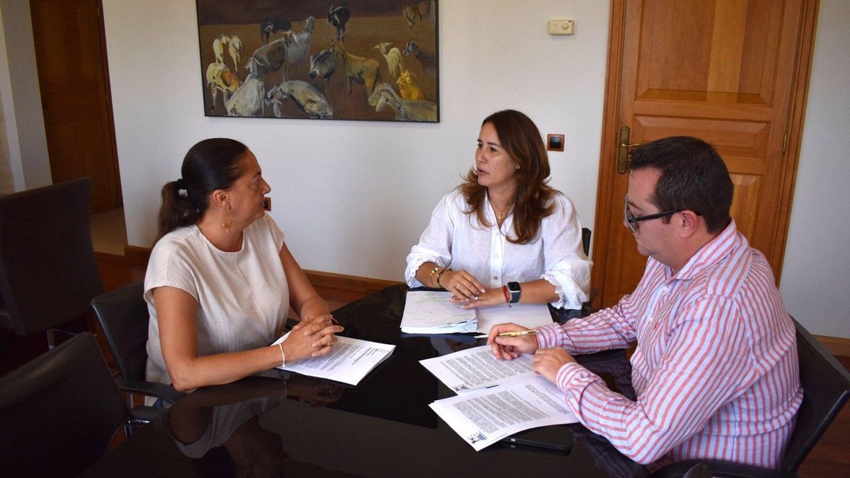 La presidenta del Cabildo de Fuerteventura, Lola García, durante una reunión.