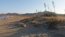 Más de 37.000 firmas claman contra el proyecto de un hotel en la bahía de Genoveses de Cabo de Gata