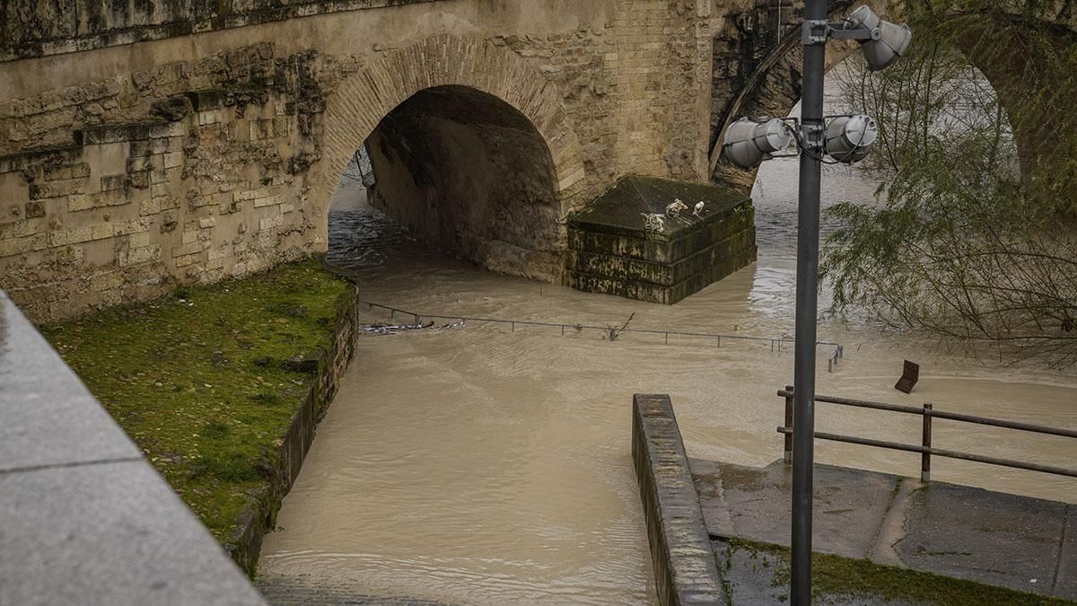 El cauce del río Guadalquivir sigue subiendo a su paso por Córdoba