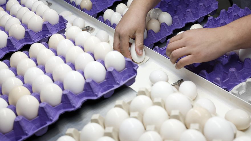 El precio del huevo "no debería subir" por la gripe aviar aunque en los dos últimos meses no ha dejado de crecer