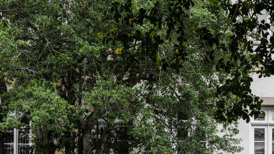 ¿Coche en propiedad o por suscripción? Qué tener en cuenta si te lo estás planteando