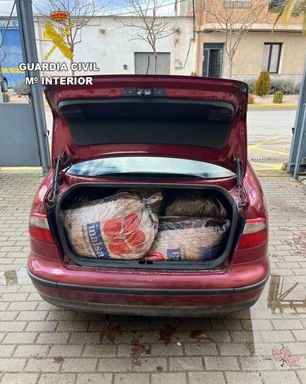 Vehículos con los sacos de aceitunas