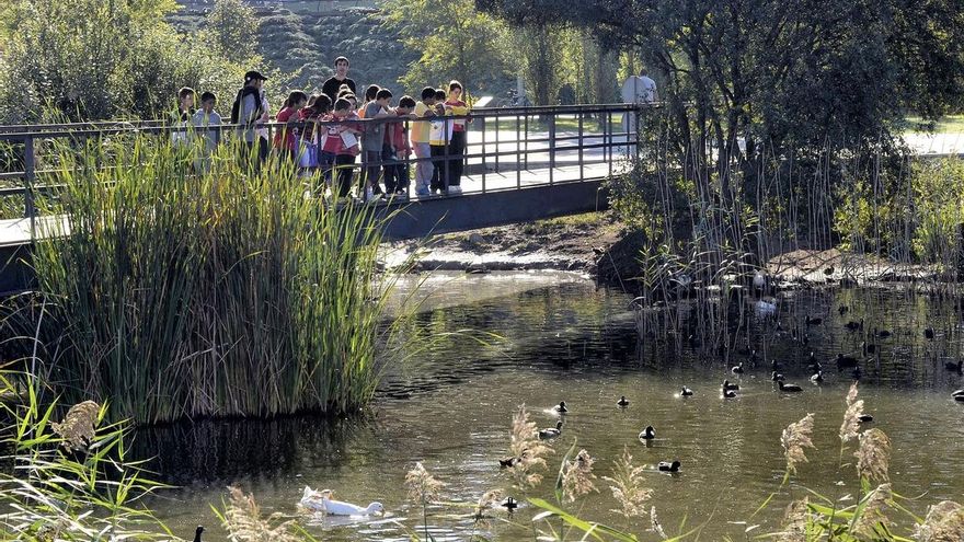Condenan al Ayuntamiento de Santander a devolver más de 2 millones a la anterior adjudicataria de Parques y Jardines