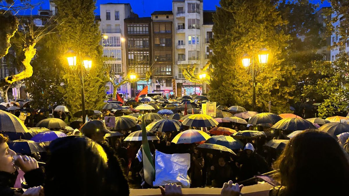 Manifestación 8M Logroño