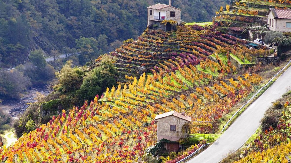 Vistas en la Ribeira Sacra