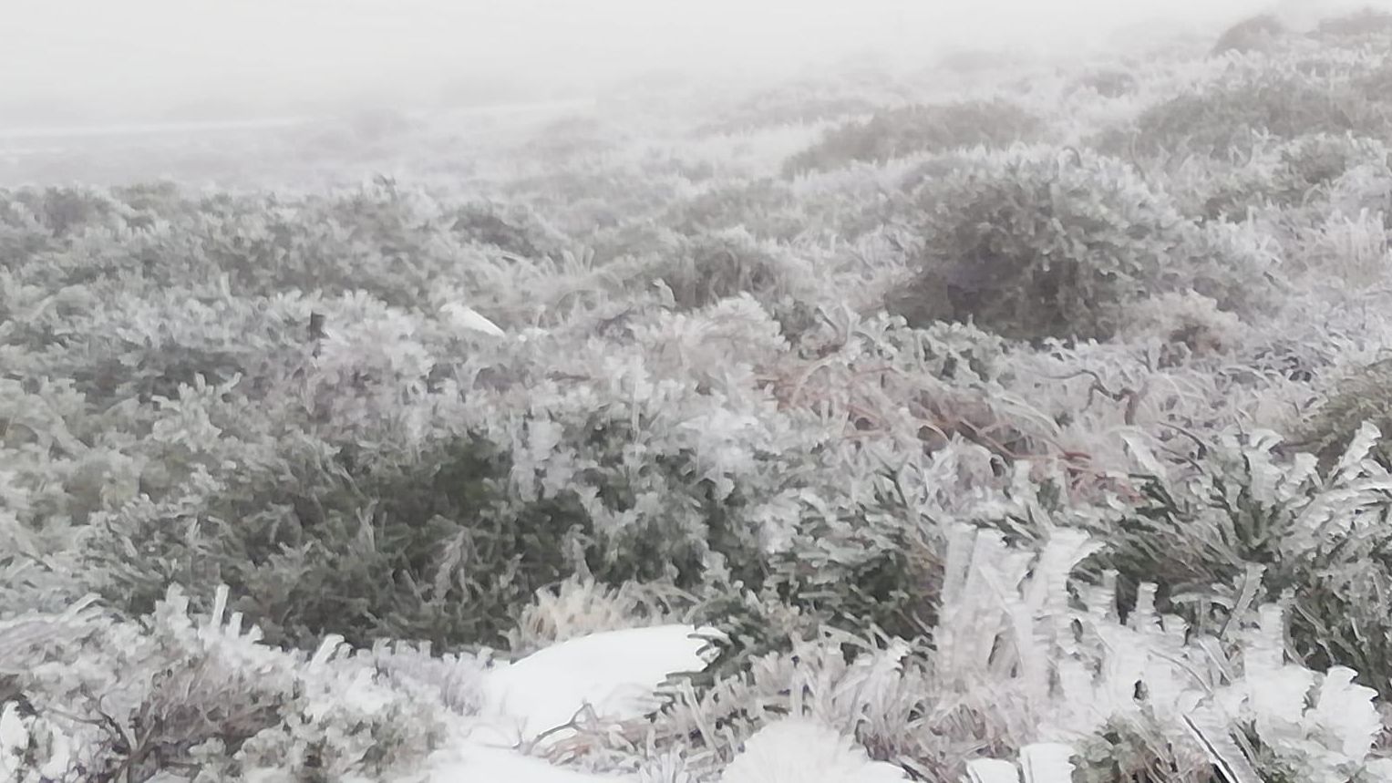 Paisaje polar en las cumbres de La Palma, este domingo, 10 de enero de 2021  (Foto: ANA BEA)