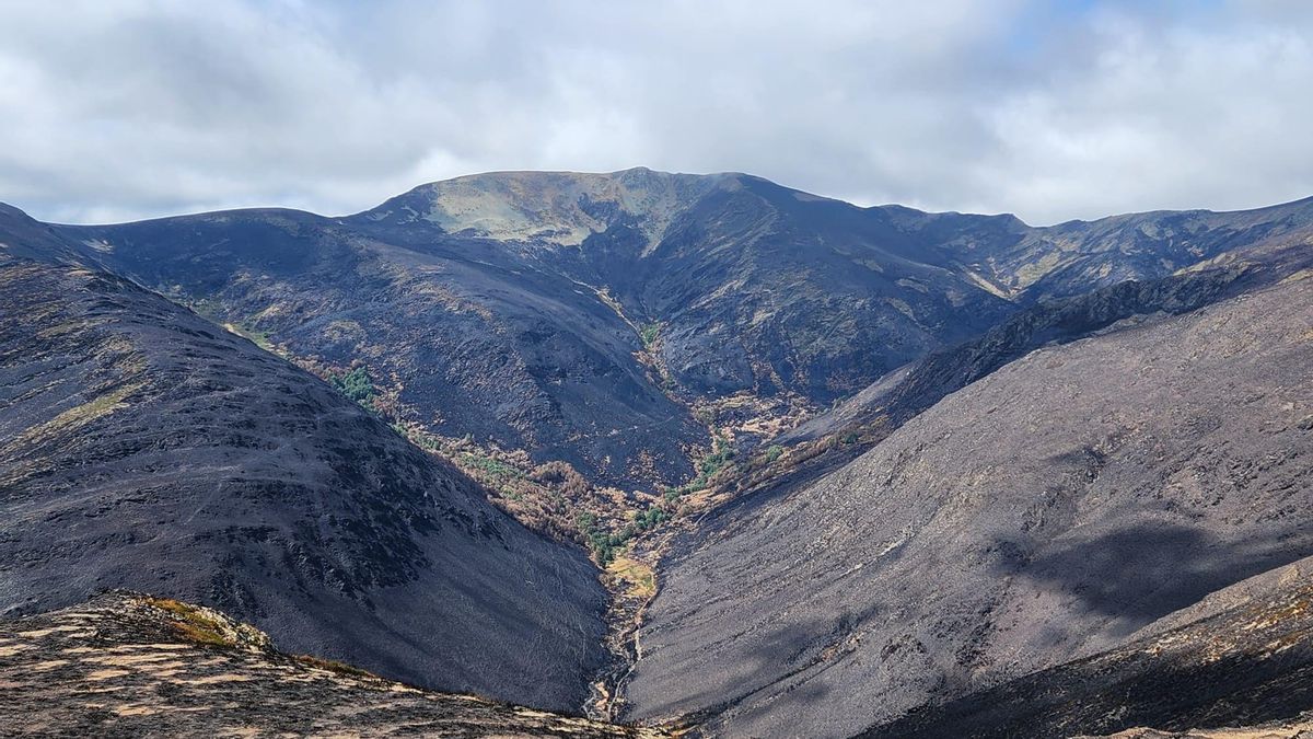 SEO/BirdLife recurre permitir caza y ganado en montes quemados de León y alerta de posibles ilegalidades