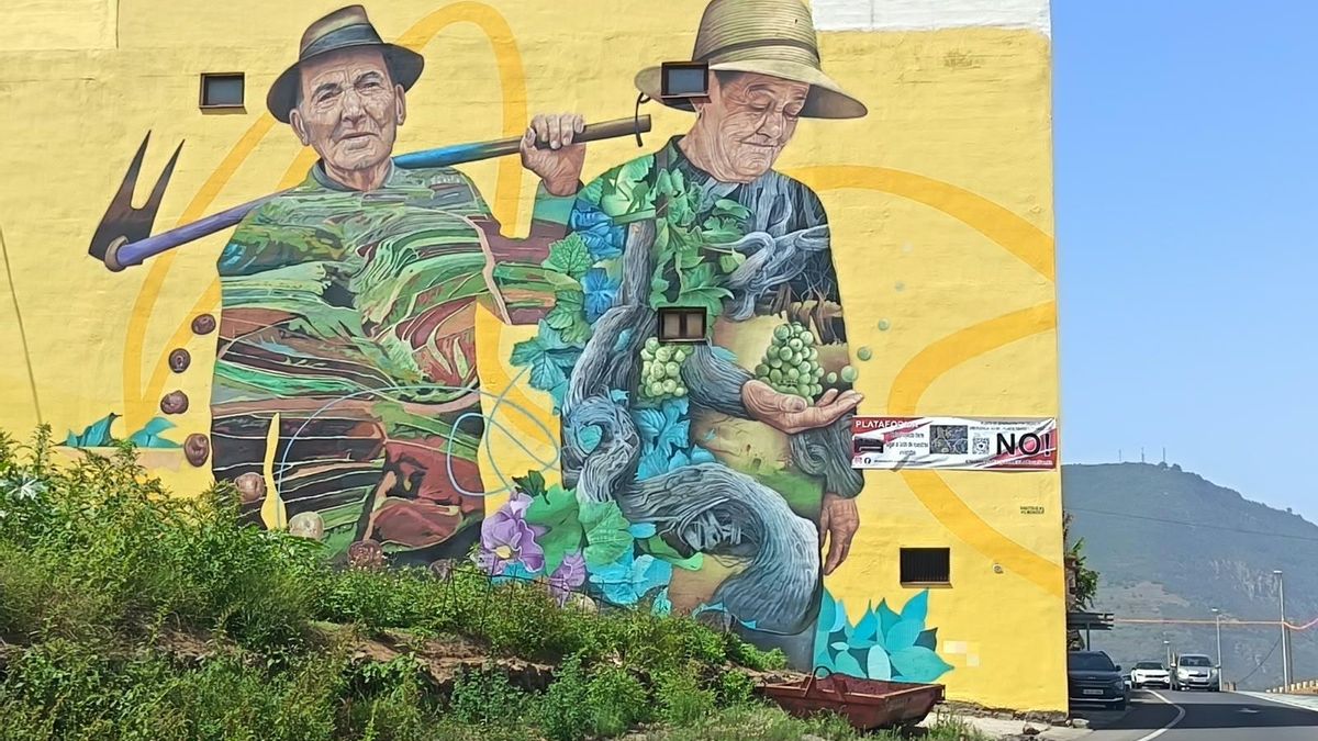Cartel de la plataforma de vecinos contra la planta de gas de Los Realejos