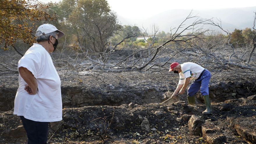 La Junta aprueba un decreto ley con las ayudas por los incendios tres semanas después de anunciarlas