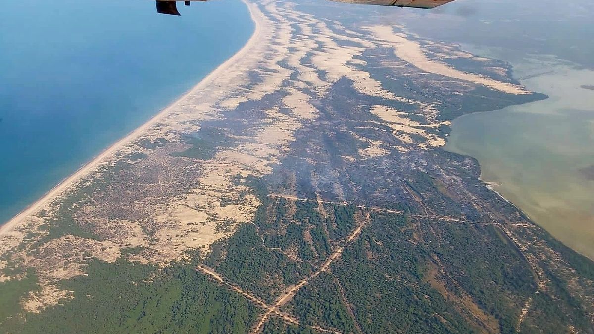 Incendio en el paraje del Rincón del Membrillo, en Almonte (Huelva).