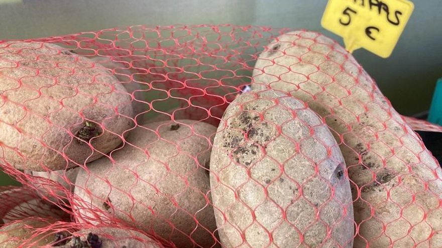 Canarias frena en seco la solución exprés de Madrid para activar la llegada de papa británica